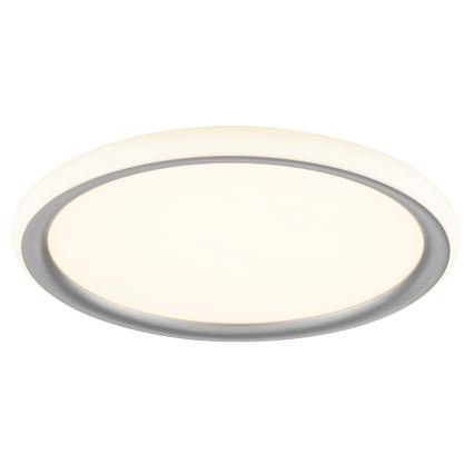 Brilliant - Ρυθμιζόμενο LED φωτιστικό οροφής CARLOZ LED/16W/230V Ø 30 cm λευκό/ γκρι