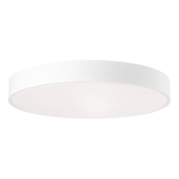 Brilliant - Ρυθμιζόμενο LED φωτιστικό οροφής SLIMLINE LED/60W/230V 3000-6500K Ø 49 cm λευκό + τηλεχειριστήριο
