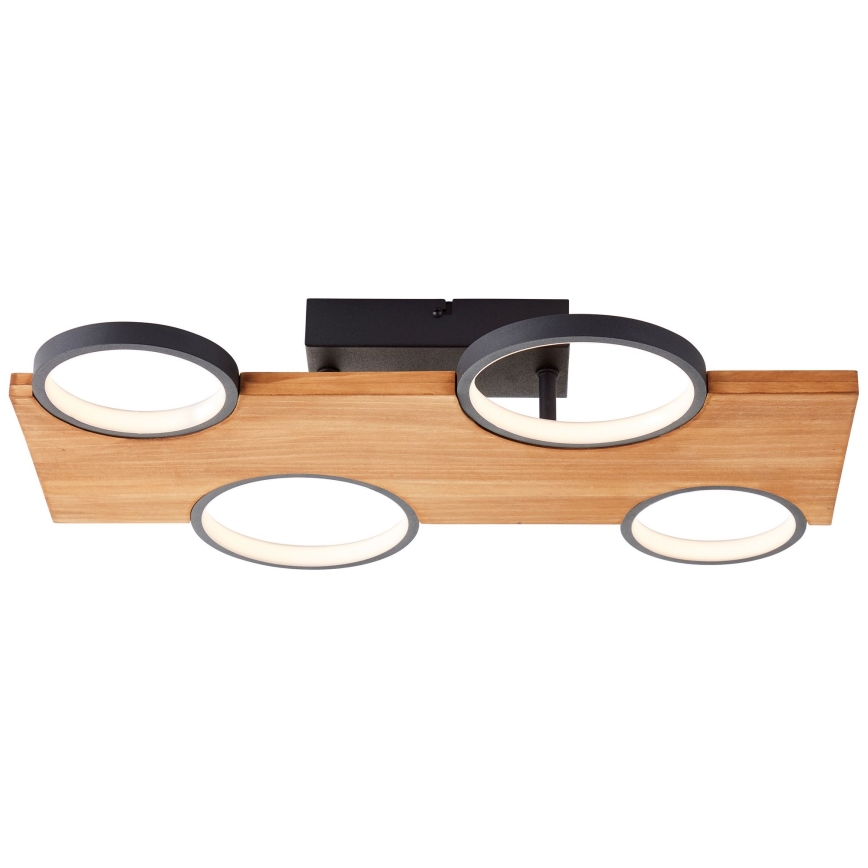 Brilliant - Φωτιστικό οροφής LED CHEESY LED/28W/230V πεύκο - FSC πιστοποιημένο