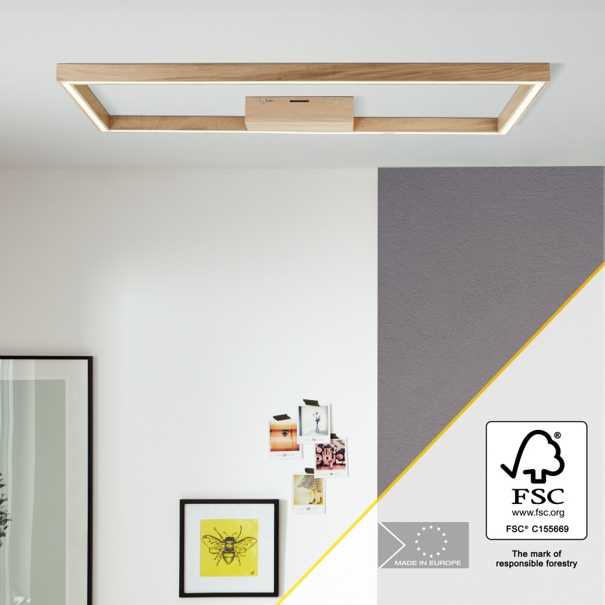Brilliant - Φωτιστικό οροφής LED DELGROSSO LED/24W/230V 3000K δρυς