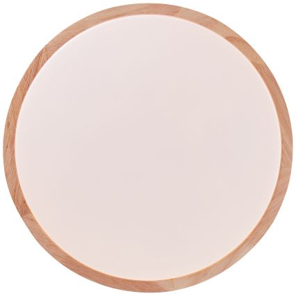 Brilliant - Φωτιστικό οροφής LED SLIMLINE LED/14W/230V 3000/4000K καουτσουκόδεντρο