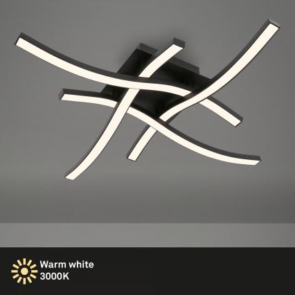 Brilo 3677-045 - Φωτιστικό οροφής LED/14,4W/230V μαύρο