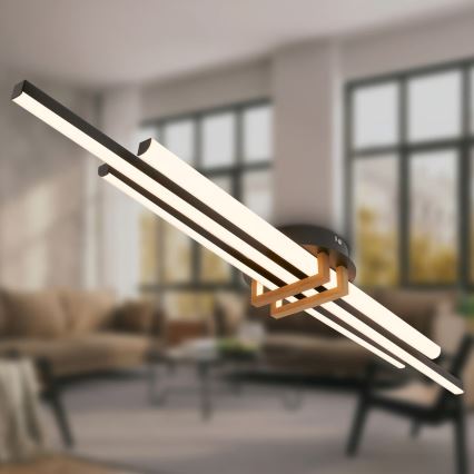 Brilo - Φωτιστικό οροφής TINKA LED/30W/230V 3000K μαύρο