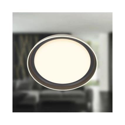 Brilo - LED φωτιστικό οροφής IJUS LED/24W/230V 3000K Ø 43 cm