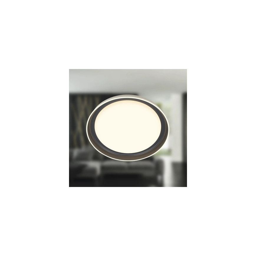 Brilo - LED φωτιστικό οροφής IJUS LED/24W/230V 3000K Ø 43 cm