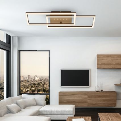 Brilo - Ρυθμιζόμενο LED φωτιστικό οροφής LED/30W/230V 3000K καφέ