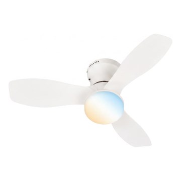 Brilo - Ρυθμιζόμενος LED οροφής ανεμιστήρας PAN LED/15W/2300V 3000-6500K λευκός + τηλεχειριστήριο