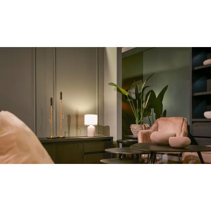 Brilo - Επιτραπέζιο φωτιστικό INO 1xE14/10W/230V καφέ