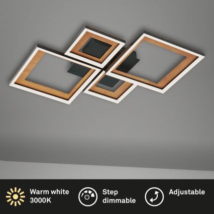 Brilo - Σταθερό πολύφωτο dimming LED FRAME LED/38W/230V