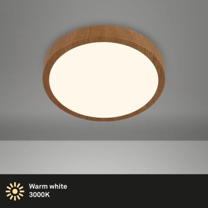 Brilo - Φωτιστικό οροφής LED RUNA LED/12W/230V