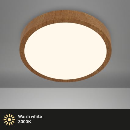 Brilo - Φωτιστικό οροφής LED RUNA LED/24W/230V