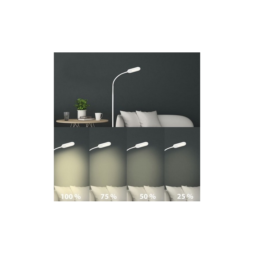 Briloner 1297-016 - LED Dimming touch επιδαπέδια λάμπα LED/8W/230V 3000/4000/6000K