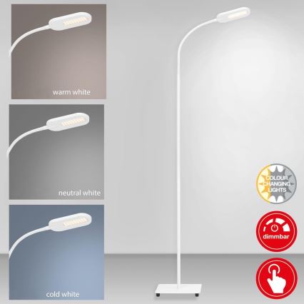 Briloner 1297-016 - LED Dimming touch επιδαπέδια λάμπα LED/8W/230V 3000/4000/6000K