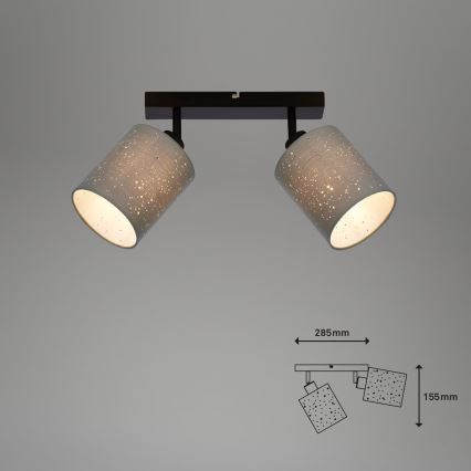 Briloner 2078-024 - Φωτιστικό σποτ SPOTLIGHT 2xE27/25W/230V γκρι/μαύρο
