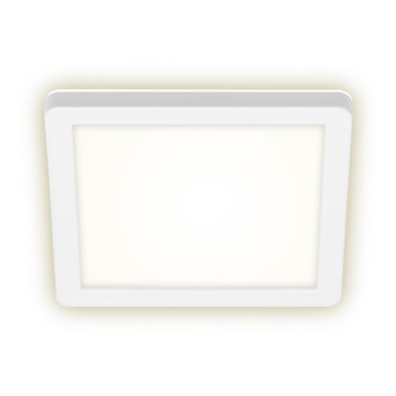 Briloner 3010-016 - Φωτιστικό οροφής LED LED/8W/230V 19x19 cm λευκό IP44