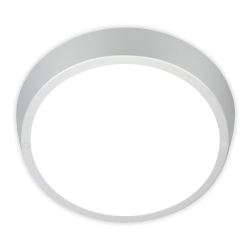 Briloner 3018-014 - Φωτιστικό οροφής μπάνιου LED HAGEN LED/24W/230V IP44 λευκό