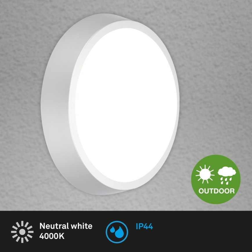 Briloner 3018-014 - Φωτιστικό οροφής μπάνιου LED HAGEN LED/24W/230V IP44 λευκό