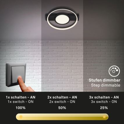 Briloner 3026-015 - LED Dimmable φωτιστικό οροφής FRAME LED/33W/230V