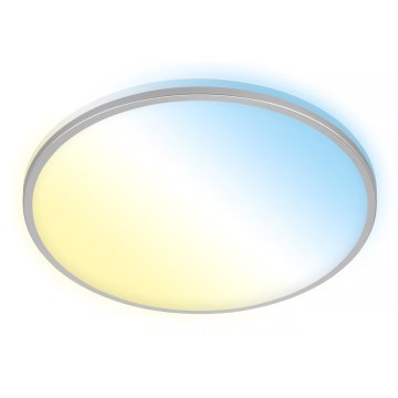 Briloner 3064-014 - Ρυθμιζόμενο φωτιστικό οροφής LED IVY LED/24W/230V Wi-Fi Tuya, διάμ. 33,3 εκ. + τηλεχειριστήριο