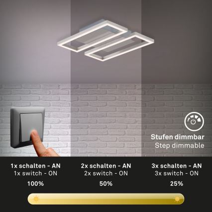 Briloner 3107-012 - LED Dimmable φωτιστικό οροφής FRAME 2xLED/7,25W/230V