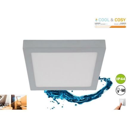 Briloner 3142-018 - Φωτιστικό οροφής μπάνιου LED COOL&COSY LED/21W/230V 2700/4000K IP44
