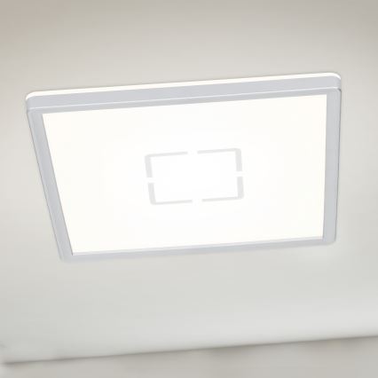 Briloner 3174-014 - LED Φωτιστικό οροφής FREE LED/12W/230V 19x19 cm