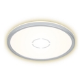 Briloner 3391-014 - LED Φωτιστικό οροφής FREE LED/18W/230V δ. 29 cm