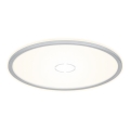 Briloner 3392-014 -  LED Φωτιστικό οροφής FREE LED/22W/230V δ. 42 cm