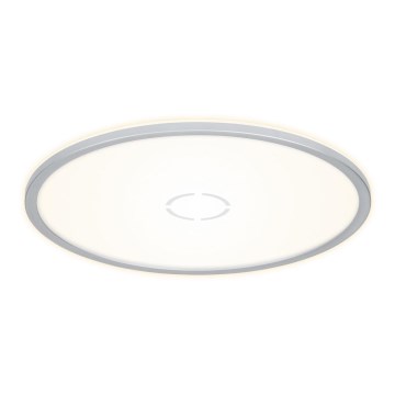 Briloner 3392-014 -  LED Φωτιστικό οροφής FREE LED/22W/230V δ. 42 cm