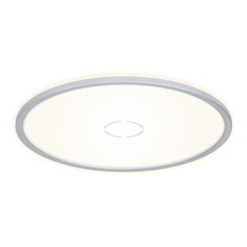 Briloner 3392-014 -  LED Φωτιστικό οροφής FREE LED/22W/230V δ. 42 cm