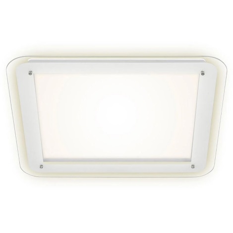 Briloner 3397-016 - Φωτιστικό οροφής LED FREE LED/22W/230V