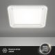 Briloner 3397-016 - Φωτιστικό οροφής LED FREE LED/22W/230V