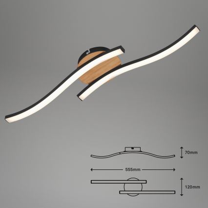 Briloner 3449-014 - Φωτιστικό οροφής LED GO 2xLED/6W/230V