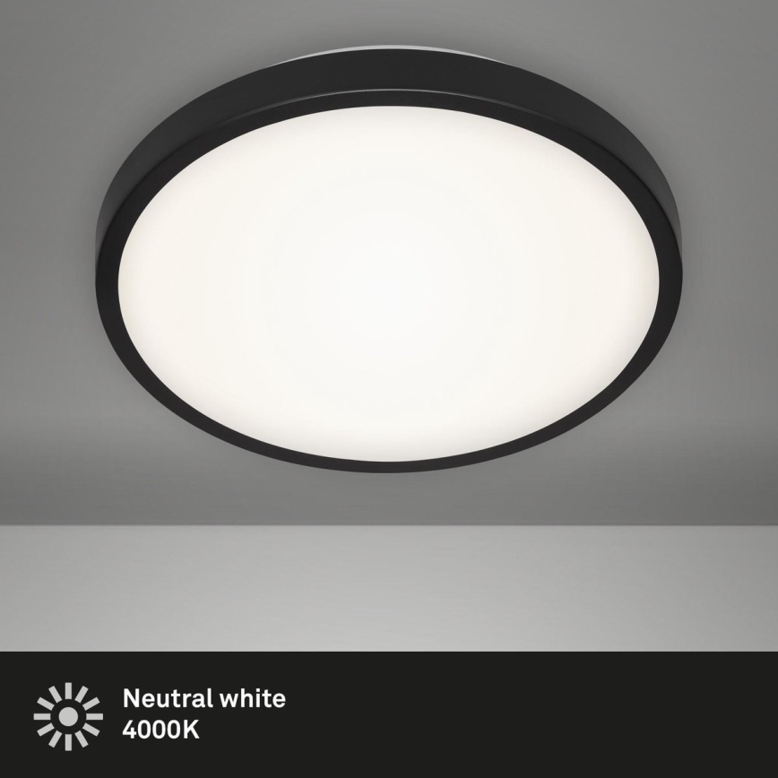 Briloner 3455-015 - Φωτιστικό οροφής LED MANNY LED/12W/230V