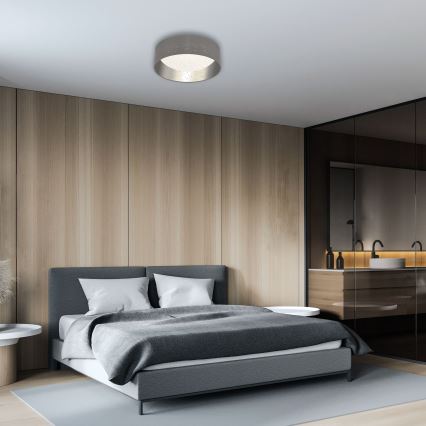 Briloner 3482014 - Οροφής φωτιστικό LED MAILA STARRY LED/12W/230V γκρι/ασημί