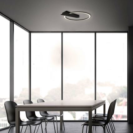 Briloner 3542-015 - Ρυθμιζόμενο LED οροφής φωτιστικό NICO LED/12W/230V μαύρο