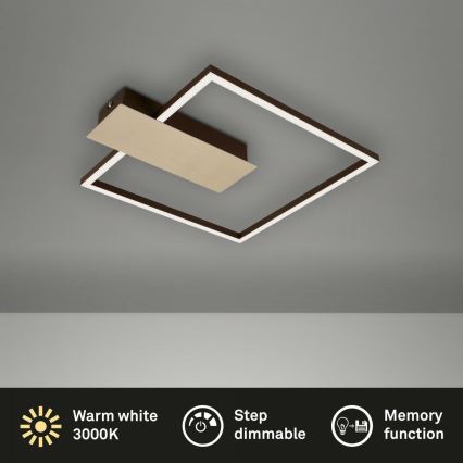 Briloner 3544-017 - LED Dimmable φωτιστικό οροφής NICO LED/12W/230V χρυσαφί