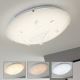 Briloner 3625-016 - Φως οροφής dimmer LED AGILED LED/22W