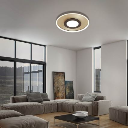 Briloner 3640017 - Ρυθμιζόμενο LED οροφής φωτιστικό FRAME LED/25W/230V 2700-6500K με τηλεχειριστήριο