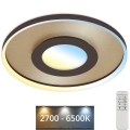 Briloner 3640017 - Ρυθμιζόμενο LED οροφής φωτιστικό FRAME LED/25W/230V 2700-6500K με τηλεχειριστήριο