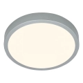 Briloner 3703-014 - Φωτιστικό οροφής LED RUNA LED/24W/230V 3000K διάμετρος 38 cm ασημί
