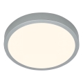 Briloner 3703-014 - Φωτιστικό οροφής LED RUNA LED/24W/230V 3000K διάμετρος 38 cm ασημί