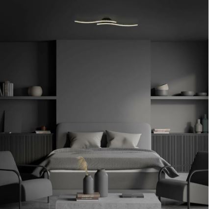Briloner 3718-025 - LED Πλαφονιέρα οροφής REY 2xLED/6W/230V μαύρο