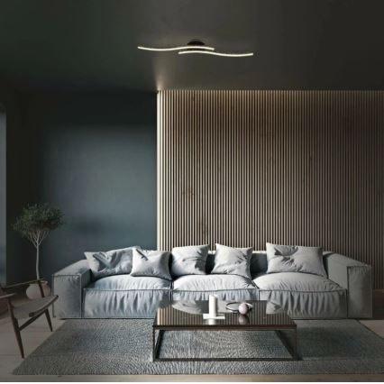 Briloner 3718-025 - LED Πλαφονιέρα οροφής REY 2xLED/6W/230V μαύρο