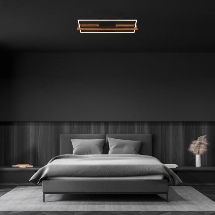 Briloner 3777-015 - LED Φωτιστικό οροφής FRAME LED/21W/230V 3000K μαύρο