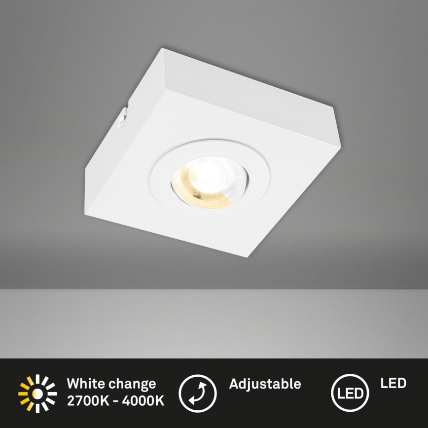 Briloner 3996016 - LED Σποτ CTS LED/4W/230V 2700/4000K λευκό