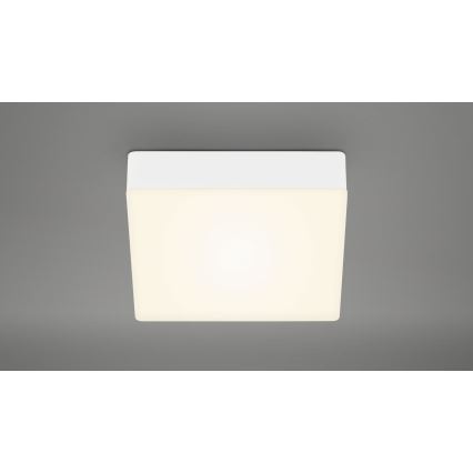Briloner 7069-016 - Φωτιστικό οροφής LED LED/11W/230V λευκό