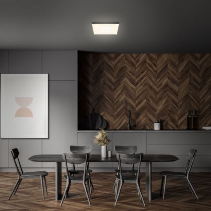 Briloner 7071015 - Φωτιστικό οροφής LED FLAME LED/21W/230V μαύρο