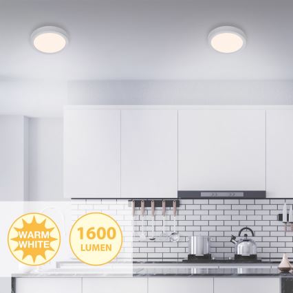 Briloner 7117-014 - Φωτιστικό οροφής LED FIRE LED/16,5W/230V 3000K