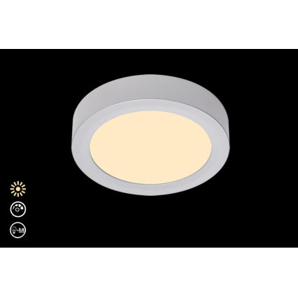 Briloner 7124-014 - Φωτιστικό οροφής LED Dimmable FIRE LED/12W/230V 3000K